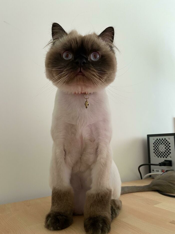 image-20251117214140-5