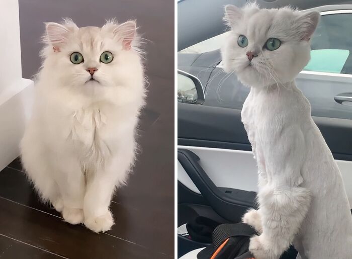 image-20251117214143-6