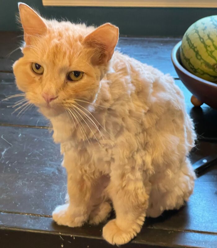 image-20251117214146-7