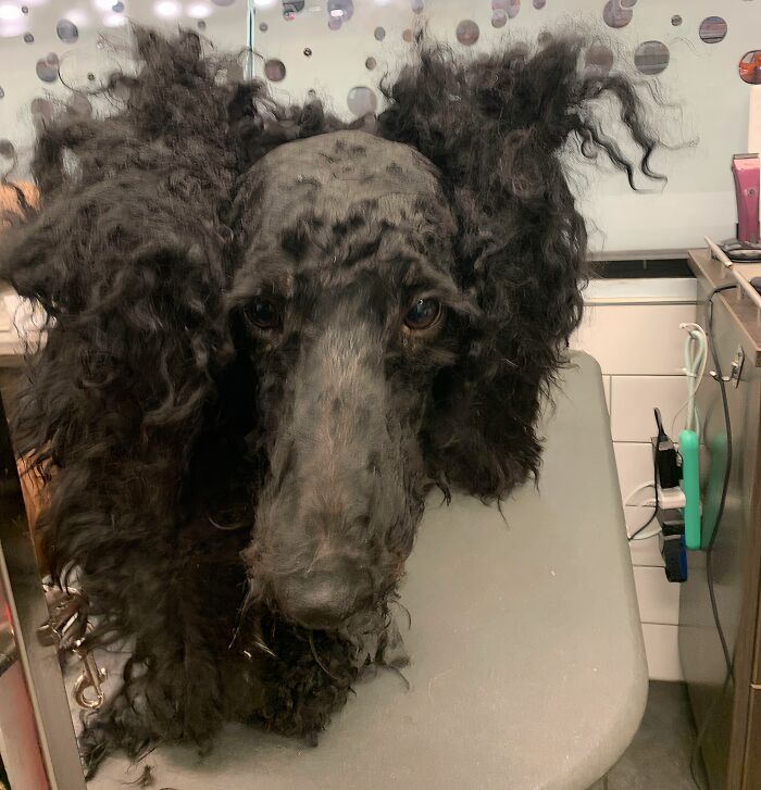 image-20251117214155-10