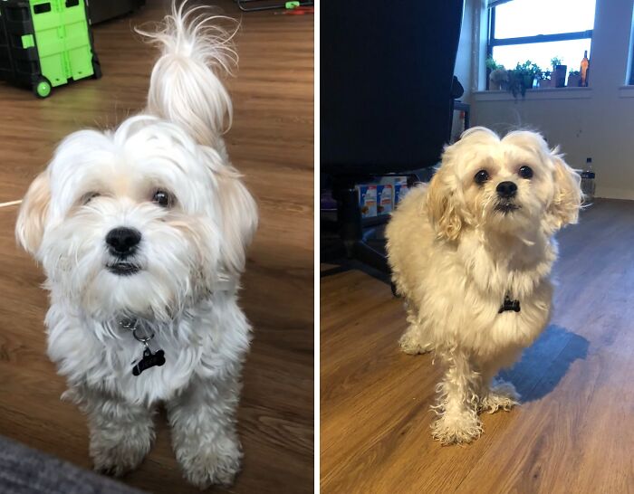 image-20251117214200-12