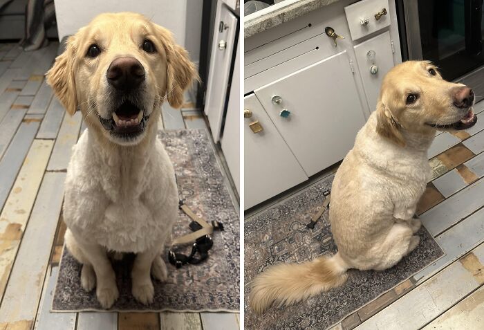 image-20251117214205-14