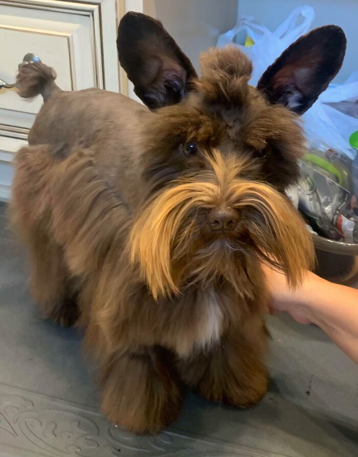 image-20251117214208-15