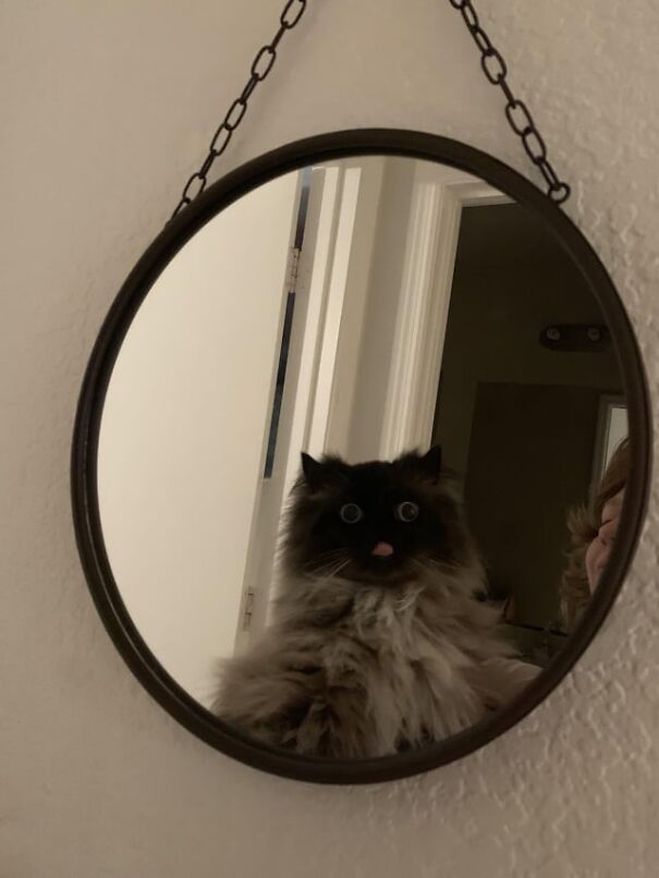 image-20251118182712-11