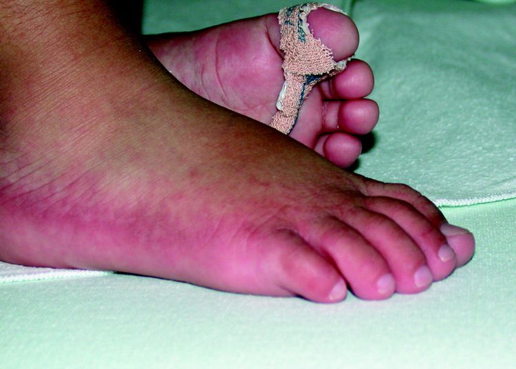 image-20251119165022-1