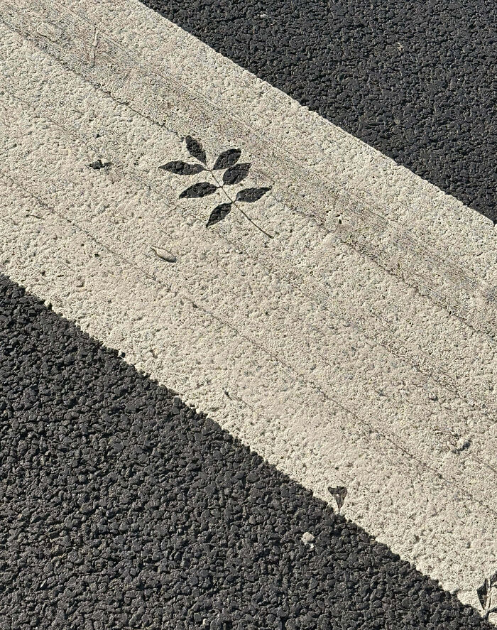 image-20251119171645-1