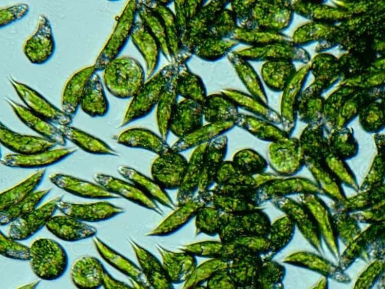 image-20251120142626-2