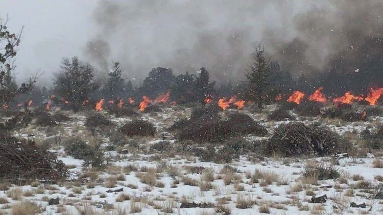 image-20251120142637-6