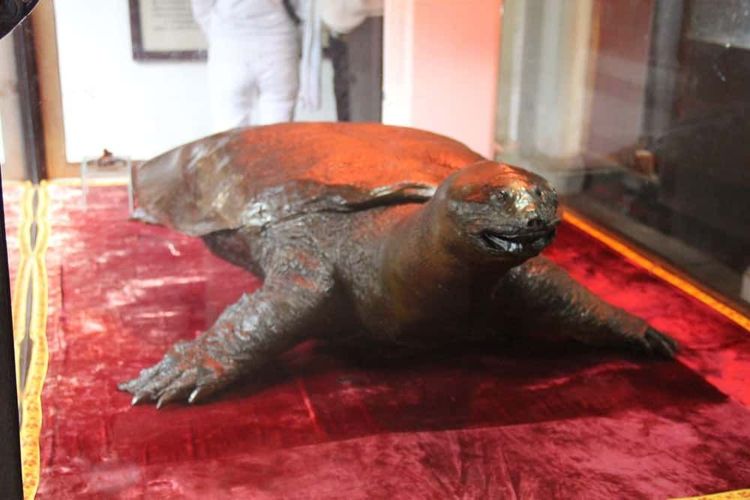 image-20251120142642-8