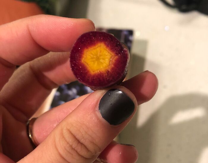 image-20251120152556-16