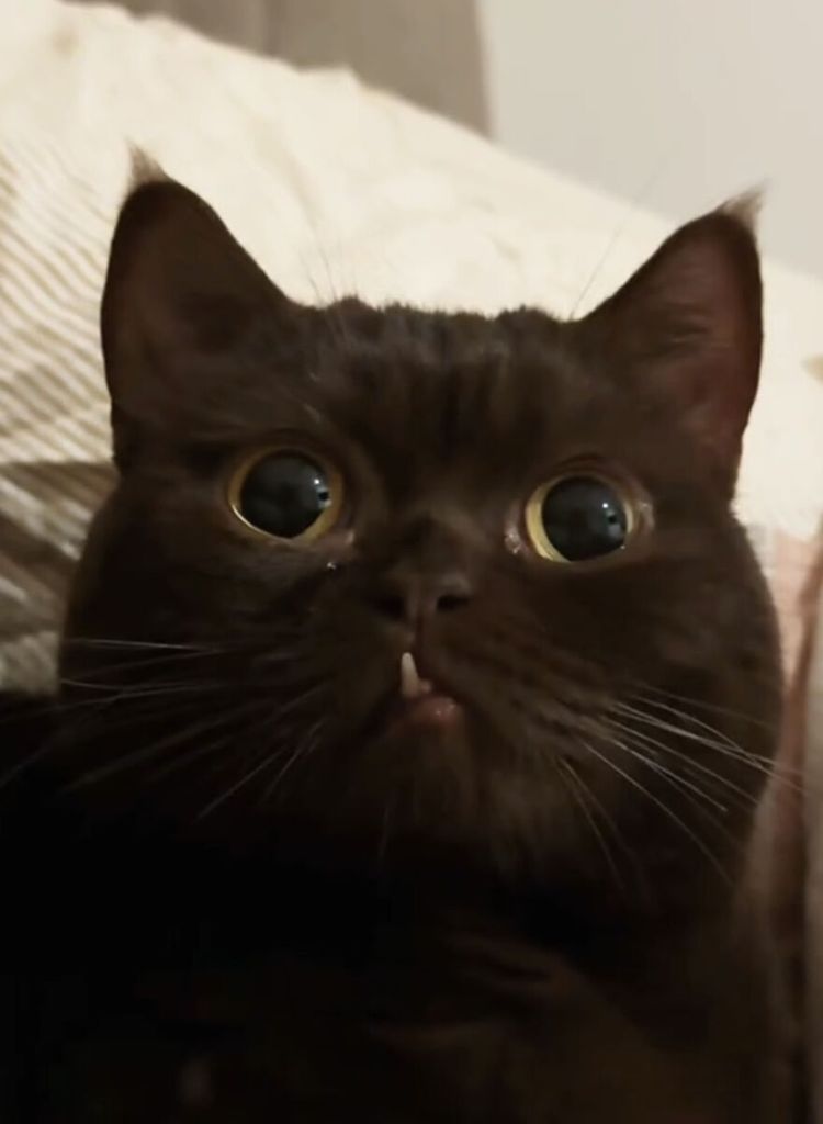 image-20251124154229-3