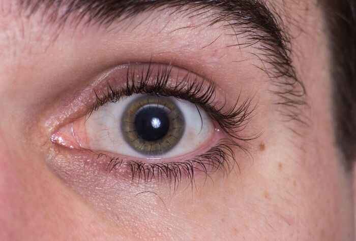 image-20251124154350-13