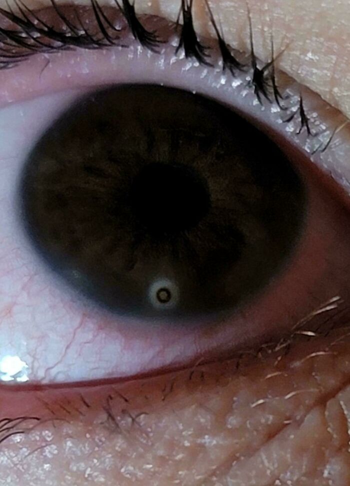 image-20251124154419-14