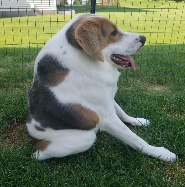 image-20251124154429-17