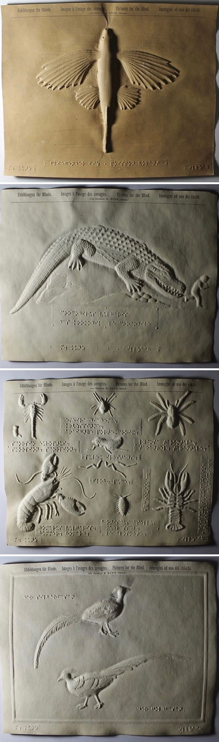 image-20251124165244-1