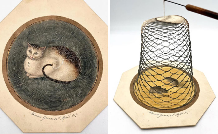 image-20251124165300-5