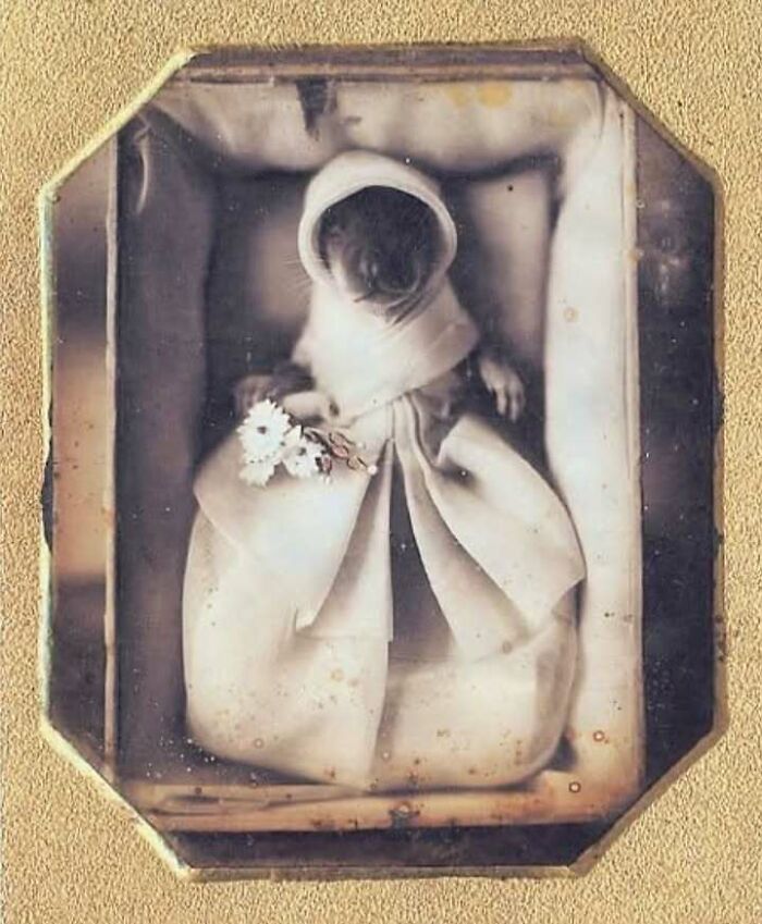 image-20251124165313-9