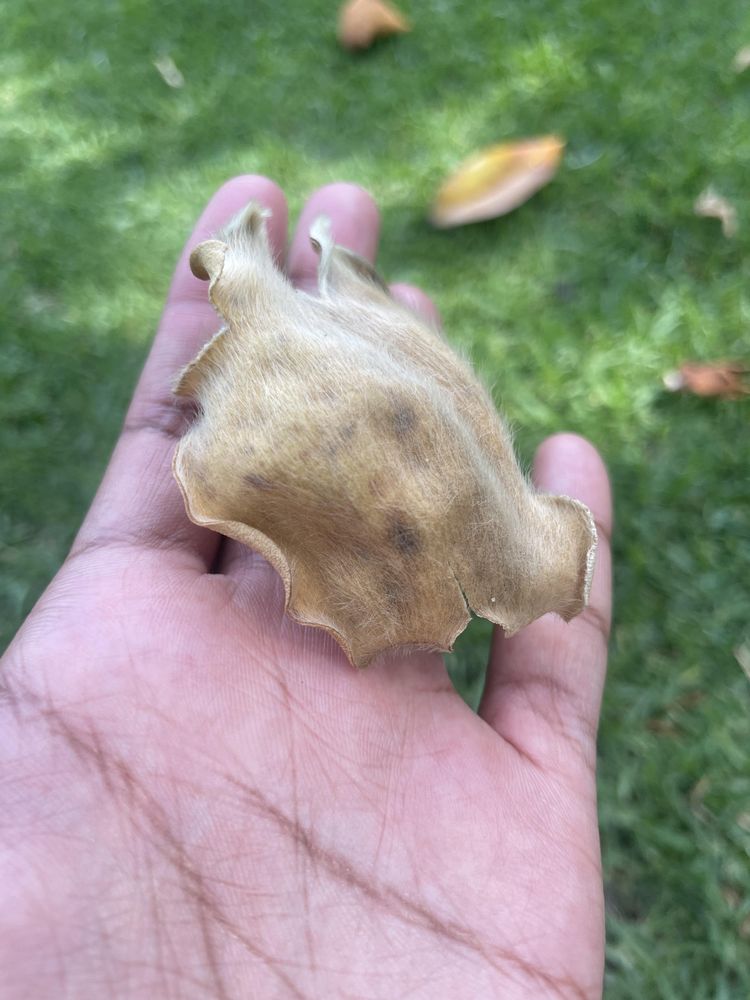 image-20251125110147-9