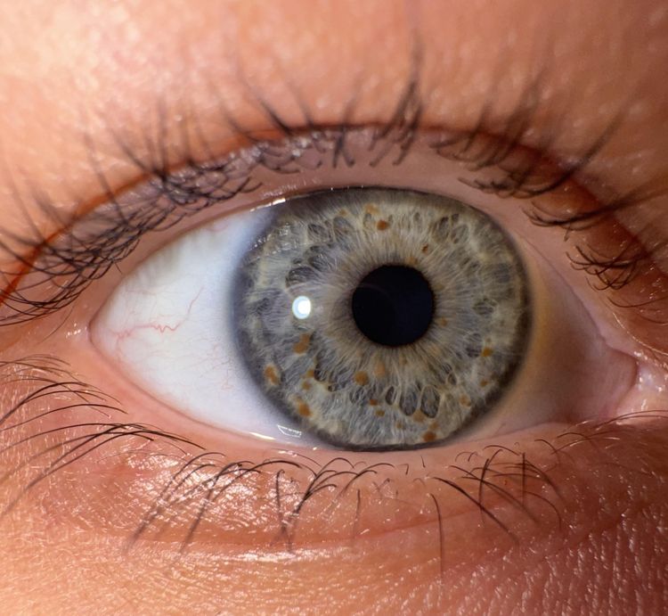 image-20251125110149-10