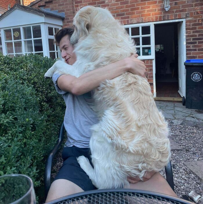 image-20251125131629-4