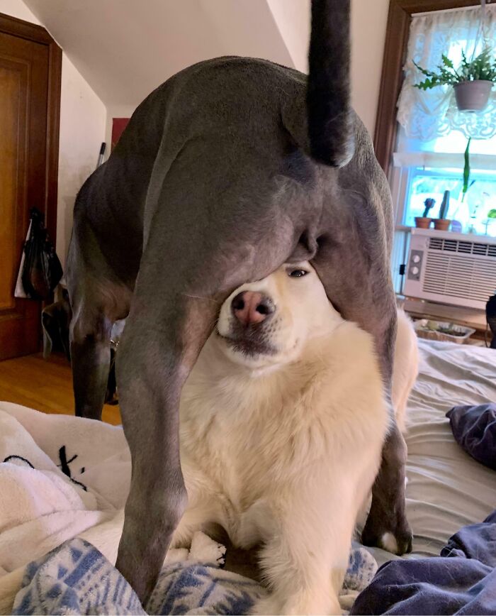 image-20251125131706-6