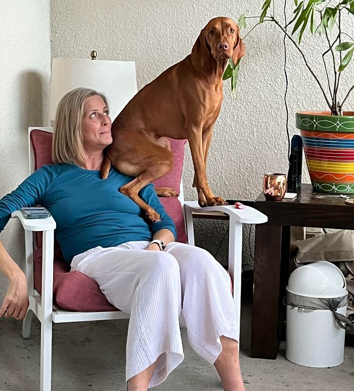 image-20251125131718-10