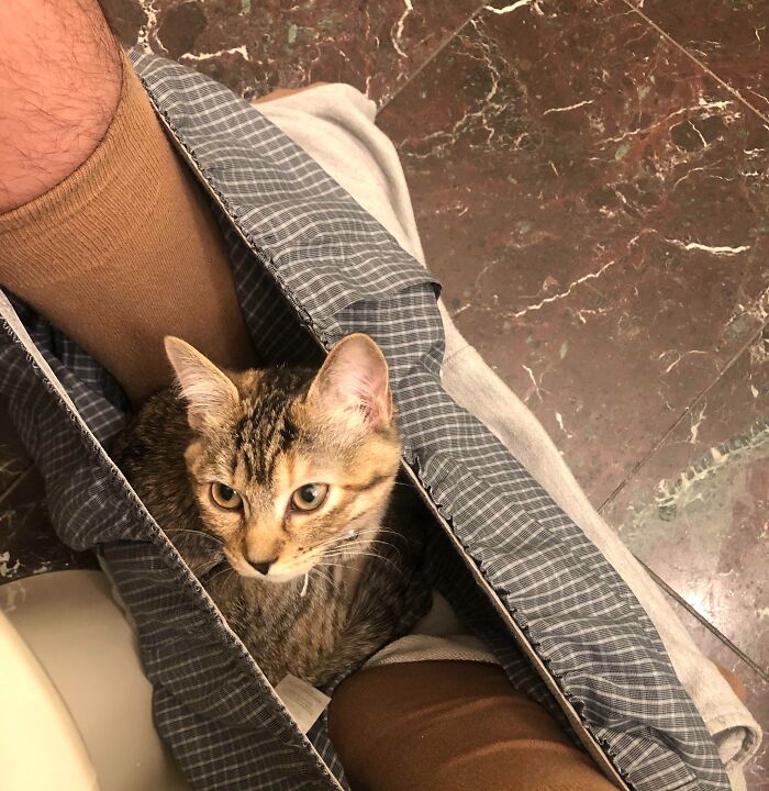 image-20251125131733-15