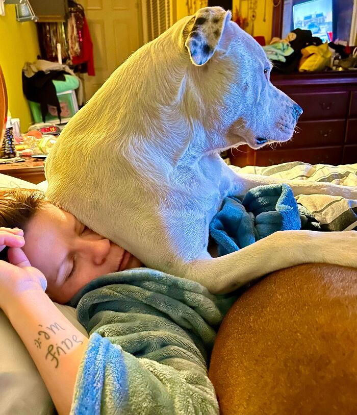 image-20251125131738-17