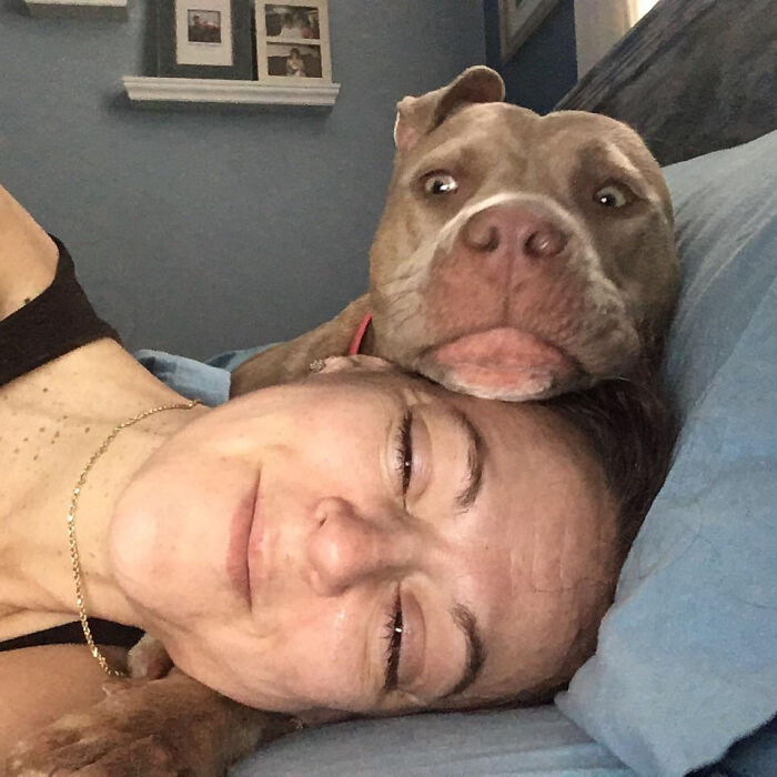 image-20251125131741-18