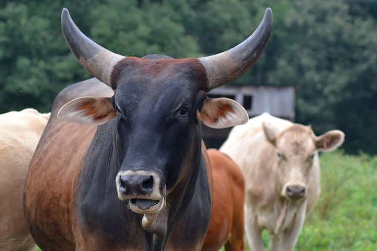 image-20251126154715-2