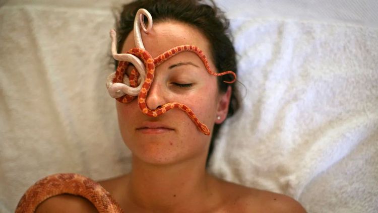 image-20251126154718-3