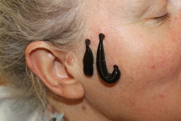 image-20251126154730-6