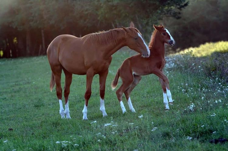 image-20251126154747-9