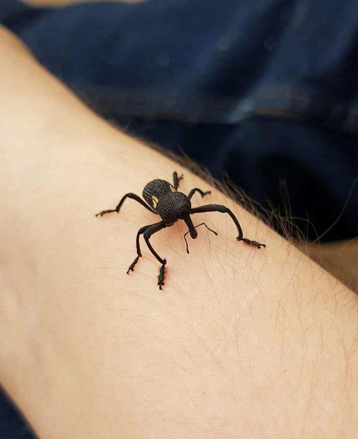 image-20251127135509-12