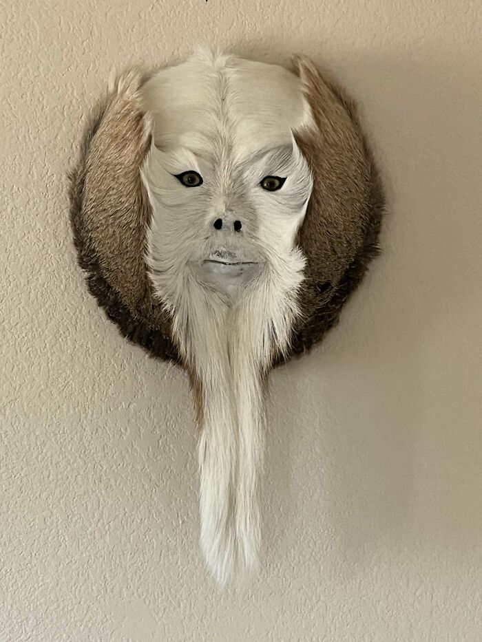 image-20251127173831-4