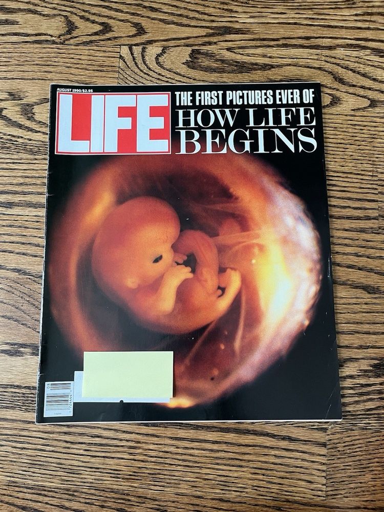 image-20251201152623-9