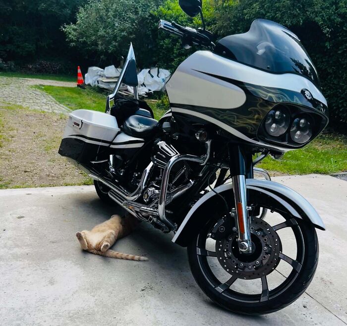 image-20251201175126-6