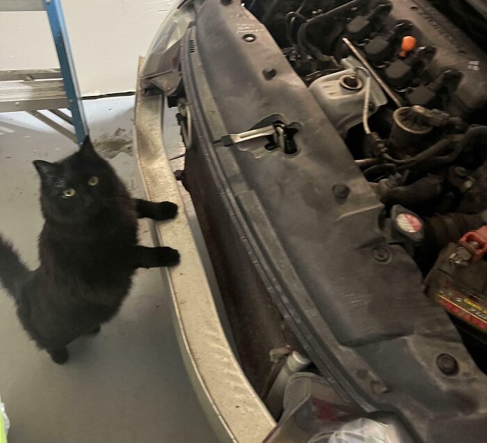 image-20251201175128-7