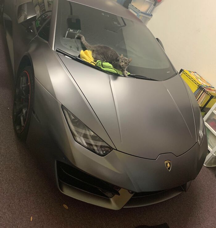 image-20251201175131-8