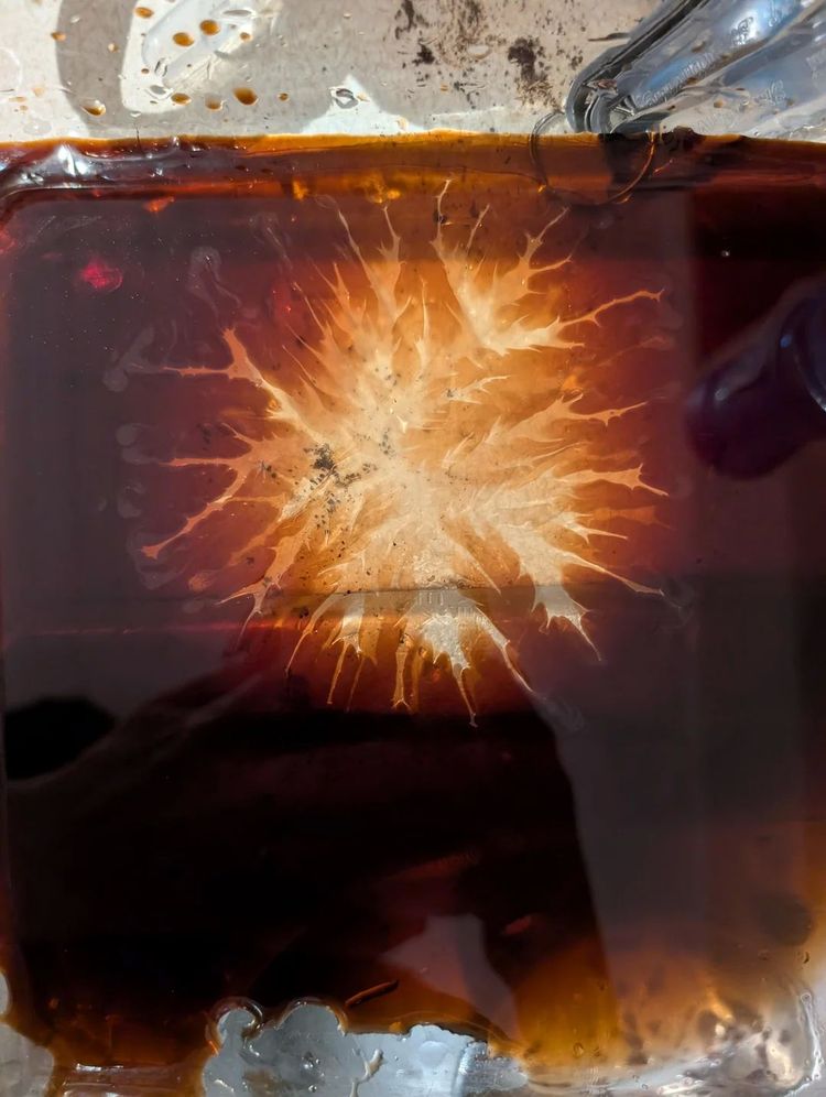 кленовый сироп, добавленный в соевый соус