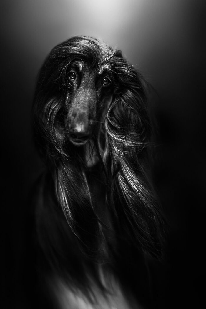 image-20251203150344-6