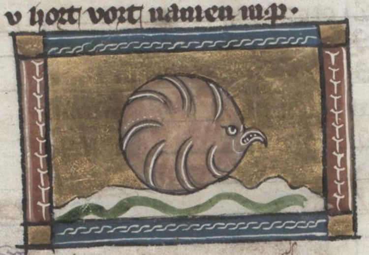 image-20251203162546-6