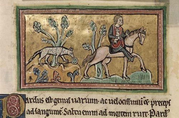 image-20251203162554-9