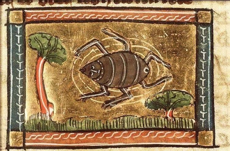 image-20251203162631-13