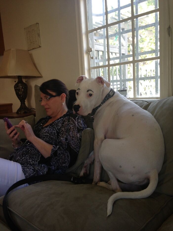 image-20251204141521-12