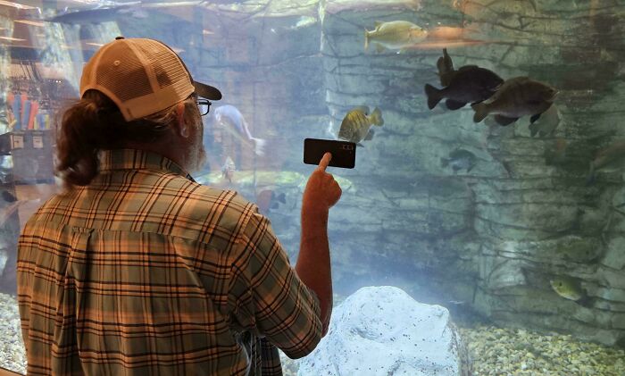 image-20251204141527-14