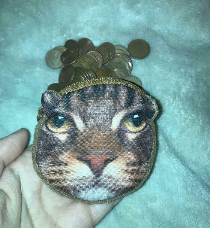 image-20251204141533-16