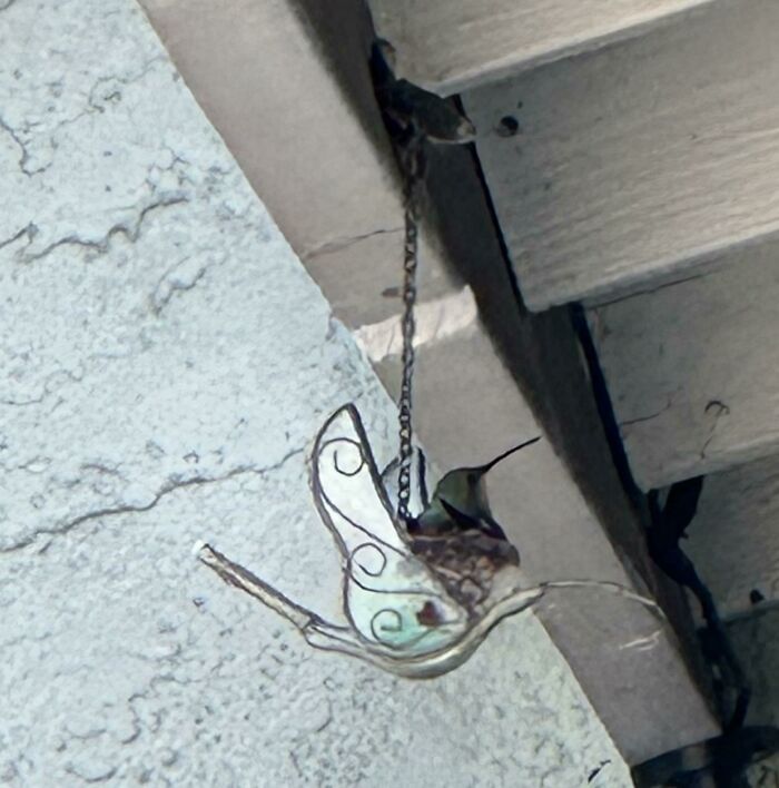 image-20251208161038-1