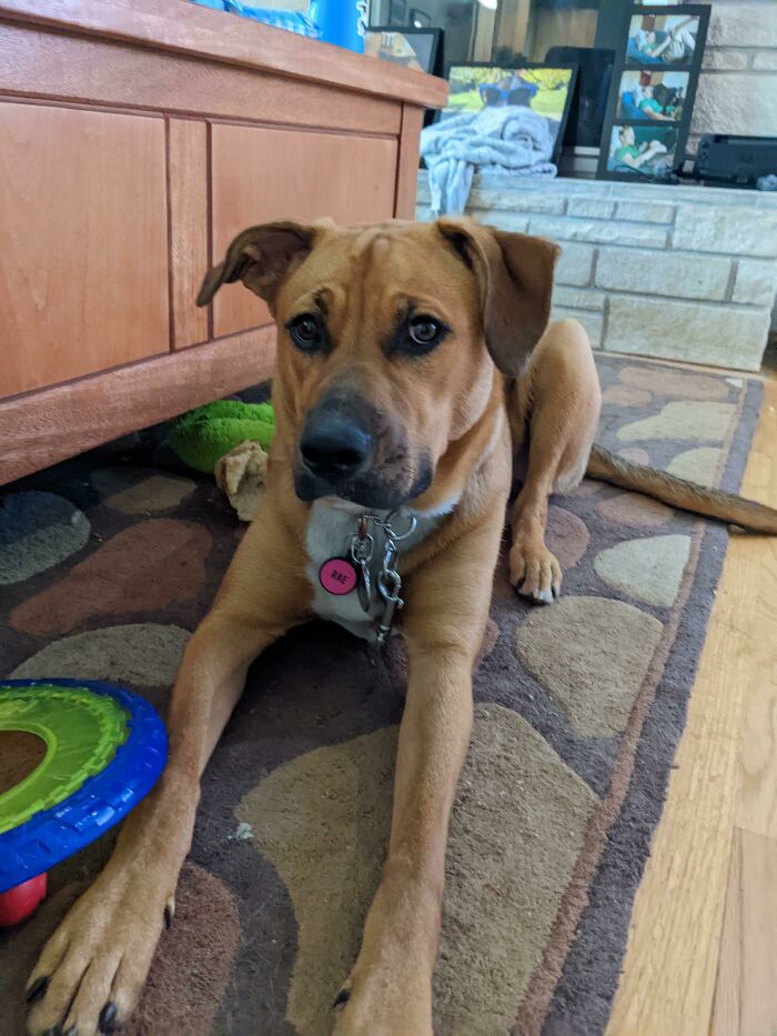 image-20251209134718-5