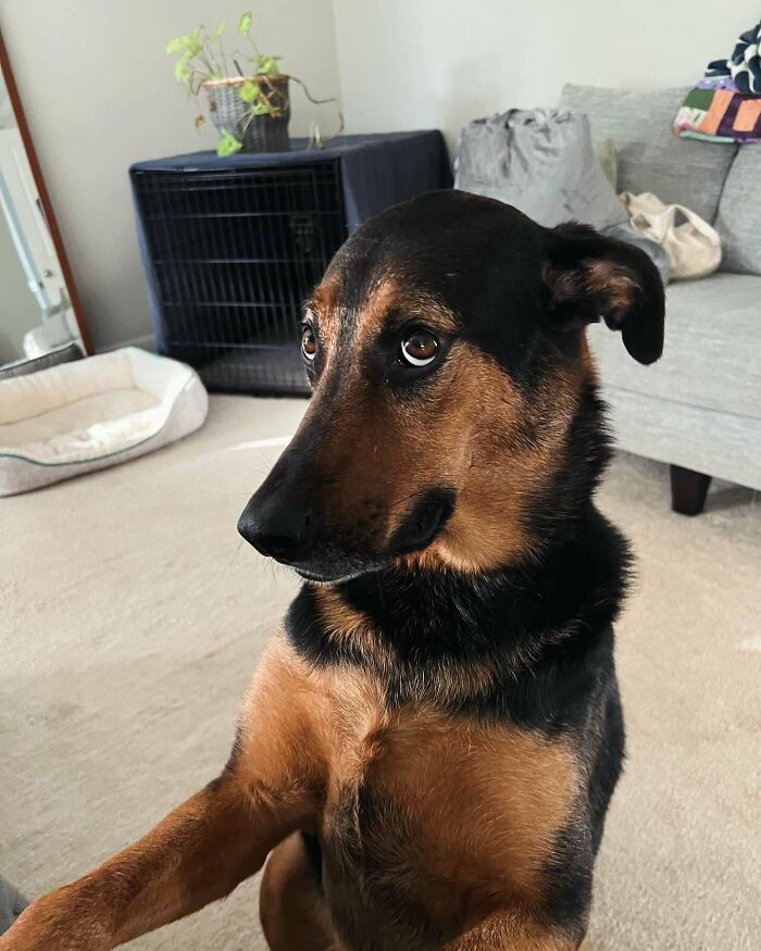 image-20251209134759-16